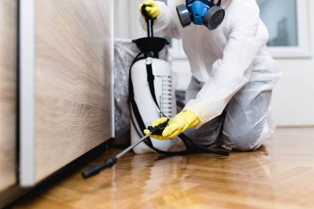 Pest Control Cost in Country Clu, CA