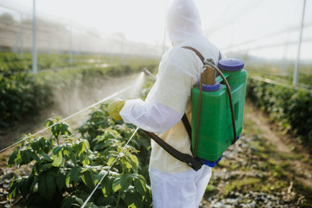 Bird Control in Country Clu, CA